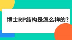 博士RP结构是怎么样的?