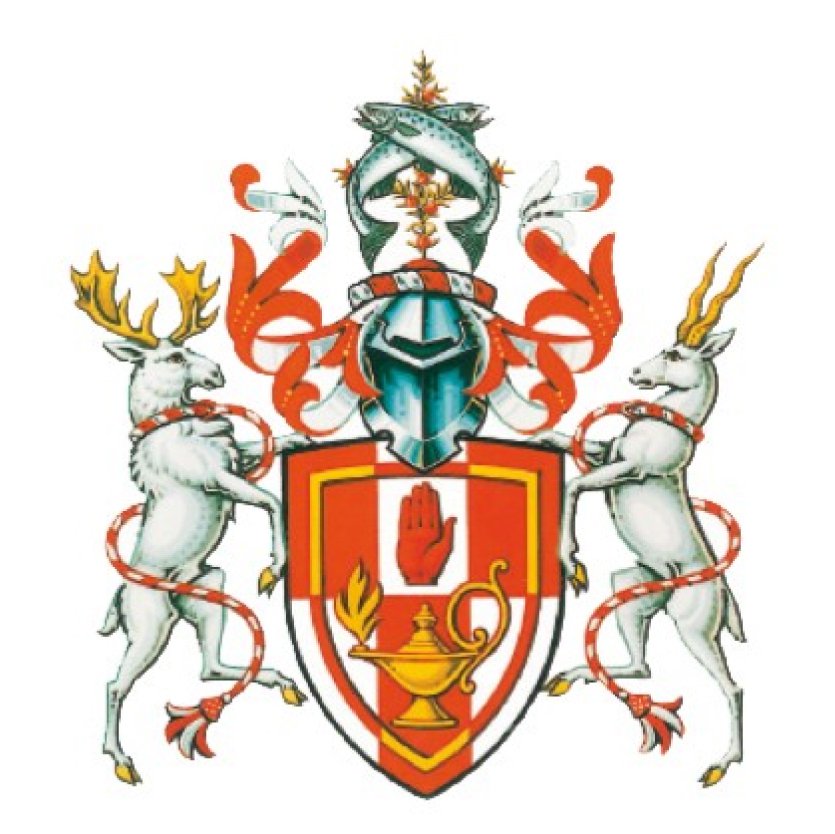 阿尔斯特大学