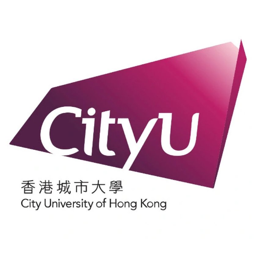 香港城市大学