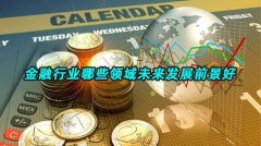 金融行业哪些领域未来发展前景好