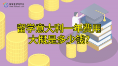 留学意大利一年费用大概是多少钱?