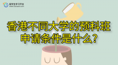 香港不同大学的预科班申请条件是什么?
