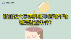 新加坡大学预科班申请难不难?需要哪些条件?