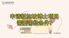 申请新加坡博士项目需要哪些条件?