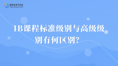 IB课程标准级别与高级级别有何区别？