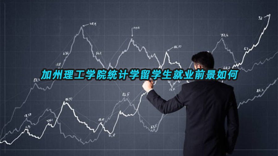统计学留学生就业