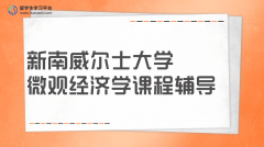 新南威尔士大学微观经济学课程辅导