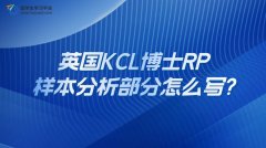 英国KCL博士RP样本分析部分怎么写?
