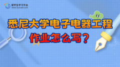 悉尼大学电子电器工程作业怎么写?