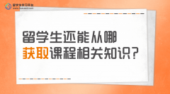除了教材，留学生还能从哪获取课程相关知识?