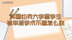 英国约克大学留学生被举报学术不端怎么办?
