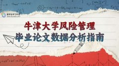 牛津大学风险管理毕业论文数据分析指南