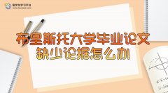 英国布里斯托大学心理学毕业论文缺少论据怎么办?