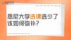 悉尼大学选课选少了该如何弥补?