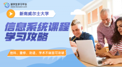 新南威尔士大学信息系统课程学习攻略