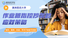 悉尼大学留学生作业被同学指控抄袭的应对策略
