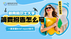 新南威尔士大学Brief report怎么写?