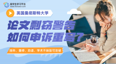 曼彻斯特大学论文剽窃警告如何申诉重写?