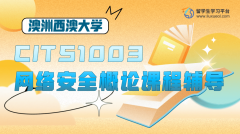 西澳大学CITS1003网络安全概论课程辅导有吗?