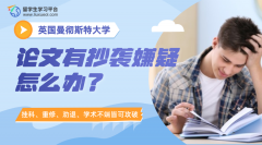 曼彻斯特大学论文有抄袭嫌疑怎么办?