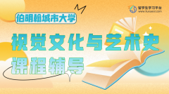 伦敦大学学院视觉文化与艺术史课程辅导