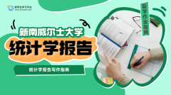新南威尔士大学统计学报告写作指南