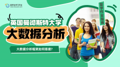 曼彻斯特大学大数据分析框架如何搭建?