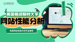 曼彻斯特大学电商网站性能分析作业辅导