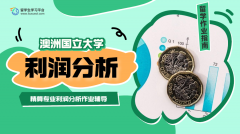 澳洲国立大学精算专业利润分析作业辅导