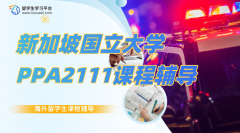 新加坡国立大学PPA2111本科课程辅导