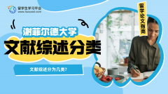 谢菲尔德大学文献综述分为几类?