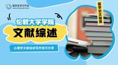 UCL心理学文献综述写作技巧分享