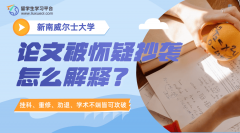 UNSW论文被怀疑抄袭怎么解释?
