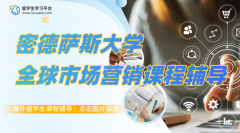 密德萨斯大学BUSS2007全球市场营销课程知识总结