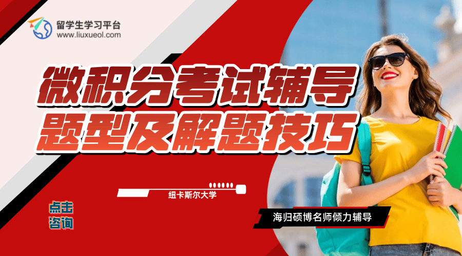 纽卡斯尔大学微积分考试辅导：题型及解题技巧