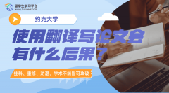 约克大学使用翻译器写论文会有什么后果?