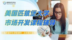 美国匹兹堡大学市场开发课程辅导老师有吗?