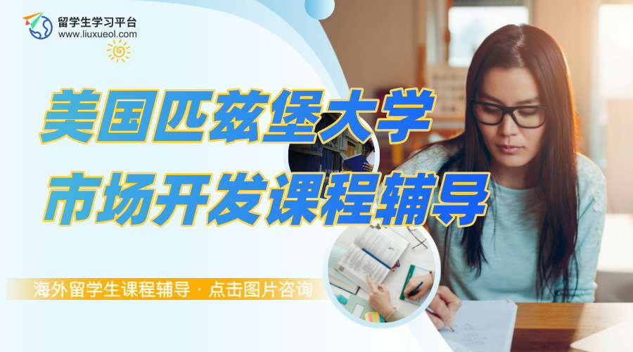 美国匹兹堡大学市场开发课程辅导老师有吗?