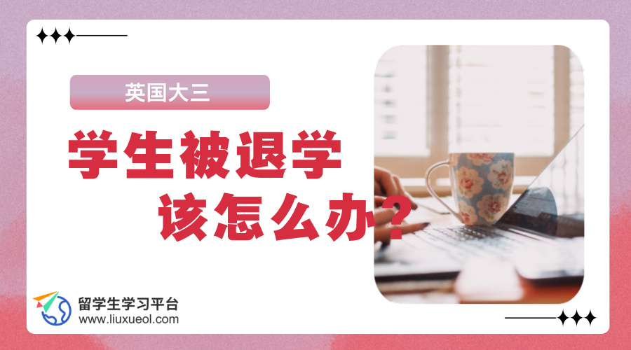 英国大三学生被退学该怎么办?