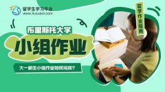 布里斯托大学大一新生小组作业如何完成?