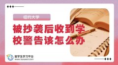 纽约大学留学生被抄袭后收到学校的警告，该怎么办?